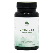 G&G Vitamins - Vitamin B3 Niacin 100 mg - 120 kapslí